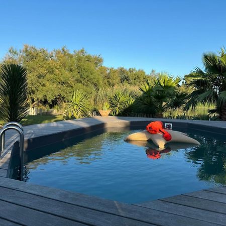 Cabane Le Flamant Avec Jardin, Piscine Et Parking Сент-Мари-де-ла-Мер Экстерьер фото