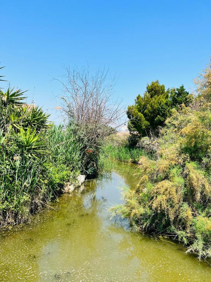 Cabane Le Flamant Avec Jardin, Piscine Et Parking Сент-Мари-де-ла-Мер Экстерьер фото