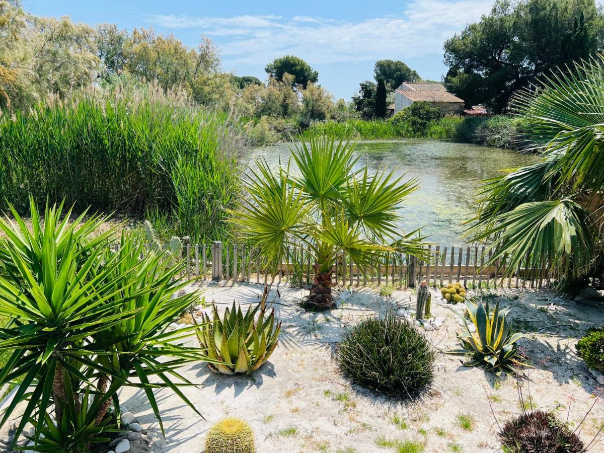 Cabane Le Flamant Avec Jardin, Piscine Et Parking Сент-Мари-де-ла-Мер Экстерьер фото