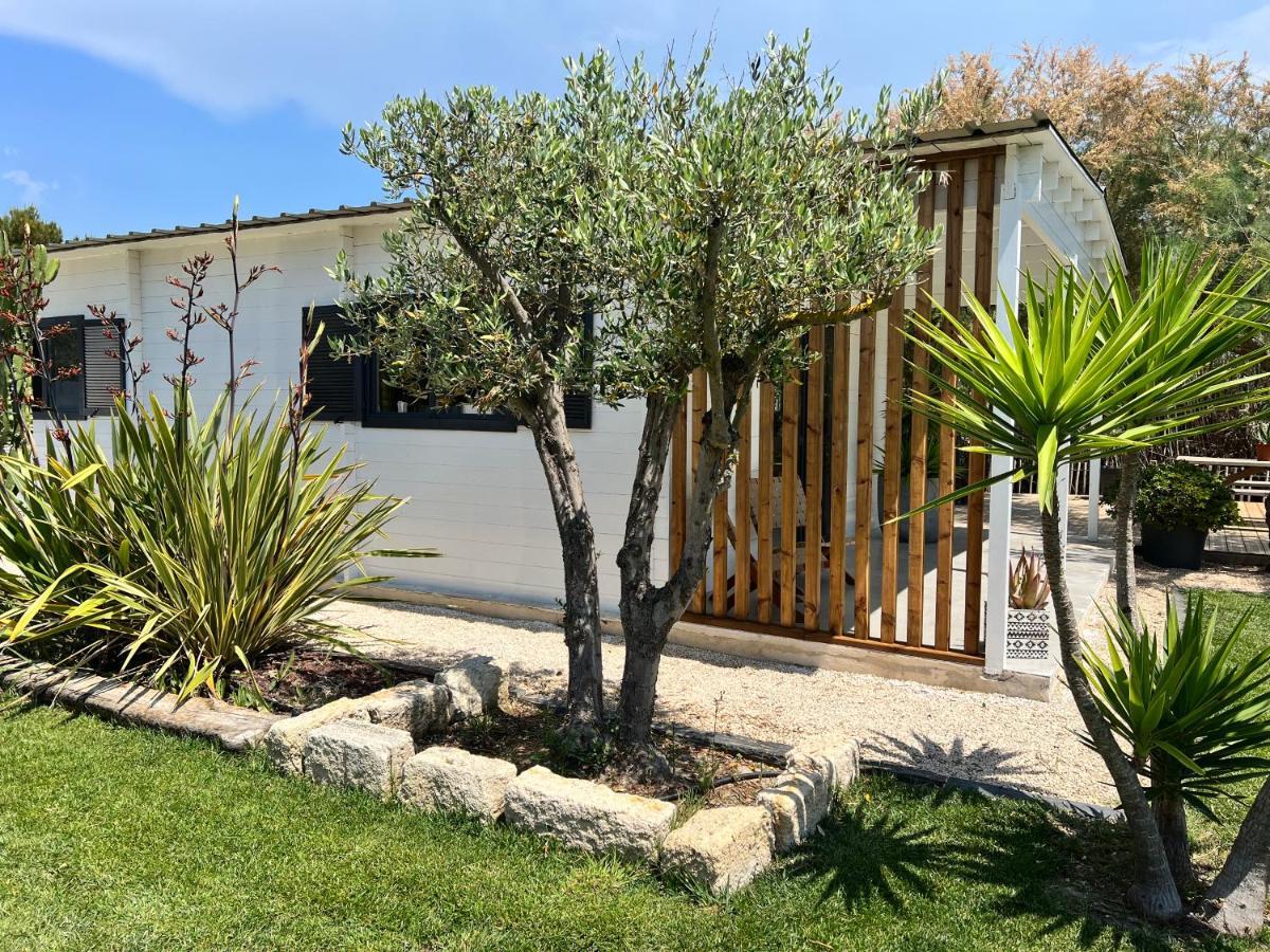 Cabane Le Flamant Avec Jardin, Piscine Et Parking Сент-Мари-де-ла-Мер Экстерьер фото